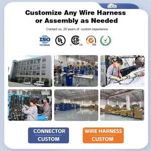 Konektor DT 2P Kawat Inti Tembaga Sistem Pencahayaan Kabel Harness Produsen untuk Perakitan Kabel Harness Otomotif - Product Image 5