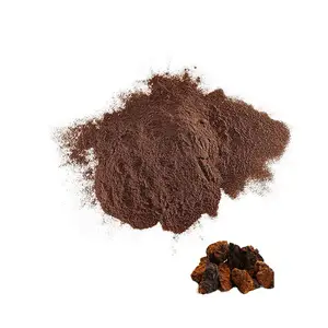 Qinshantang 30% Beta glucano organico Chaga fungo estratto naturale polisaccaridi in polvere frutta selvatica bottiglia per uso alimentare - Product Image 1