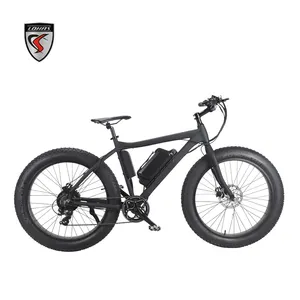 electronic bike 500/1000w adult fat ebike electrically bicycle made in China fat ebike supplier