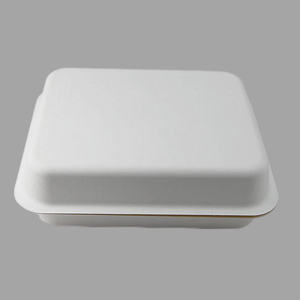 Tùy Chỉnh Thân Thiện Môi Trường Bao Bì Mía Bột Giấy Ướt Ép Giấy Nhựa Bao Bì Màu Trắng Hộp Cho Quần Áo Và Giày Dép - Product Image 3