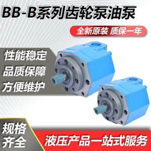 Bomba de Aceite de Engranajes Cicloides BB-B10/B4/B6/B16/B25/B40, Modelos en Estado Nuevo, Incluidos BB-BY50/BY63/BY80/BY100 - Product Image 5