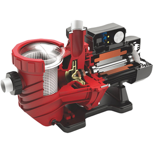 <span class=keywords><strong>Pompe</strong></span> à eau centrifuge haute efficacité 750W 220/380V 50Hz en nylon PA 1HP pour <span class=keywords><strong>piscine</strong></span> – Offre Spéciale - Product Image 1
