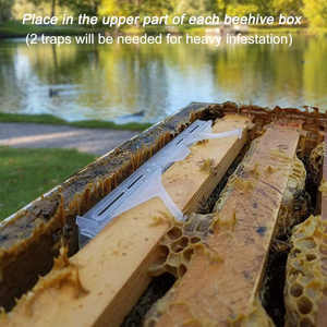 36 pcs rõ ràng tái sử dụng nhỏ Hive Bọ Cánh Cứng Blaster tổ ong công cụ nuôi ong - Product Image 6