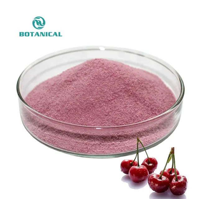 B.c.i Supply Gedroogde Winter Extract Zure <span class=keywords><strong>Acerola</strong></span> Fruit Taart Organische Cherry Poeder