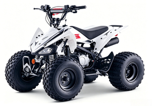 <span class=keywords><strong>Quad</strong></span> 4 roues tout-terrain robuste à essence 125cc avec suspension indépendante et châssis en acier chromoly pour adultes - Product Image 3