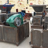Ensemble de machine automatique pour scier la poussière hydraulique, fonctionne en chine, deux sachets de carburant, bio, bois, charbon de bois, mèches, bijou