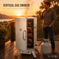 Fumoir à gaz extérieur avec thermomètre, allumage électronique, 4 grilles, acier inoxydable, flamme réglable