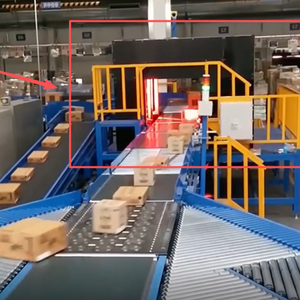 DWS Machine de tri Système de tri Dimension Poids Équipement de tri Logistique Colis Zigzag Convoyeur avec station de tri - Product Image 6