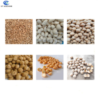 Machine de revêtement automatique PLC de haute qualité pour amandes, cacahuètes et maïs, capacité 35-40 kg/lot, en acier inoxydable SUS304, certifiée ISO/CE, garantie 1 an