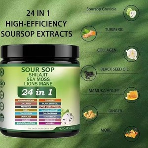 24-in-1 Graviola-Kapseln Nahrungsergänzungsmittel mit Shilajit, Meeresmoos, Löwenmähne, Moringa, Kurkuma, Ashwagandha, Schwarzkümmelöl - Product Image 2