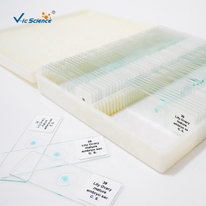Chuẩn bị Slide chuẩn bị Kính hiển vi Slide phòng thí nghiệm giáo dục Slide nghiên cứu kính hiển vi - Product Image 2