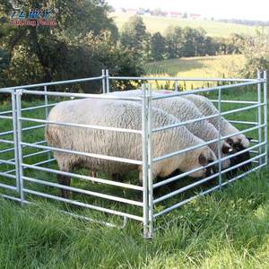 Hàng rào cừu cừu hàng rào tấm cừu và hàng rào dê - Product Image 3