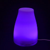 Diffuseur d'huiles essentielles électrique 100 ml, diffuseur d'arômes ultrasonique, fabricant