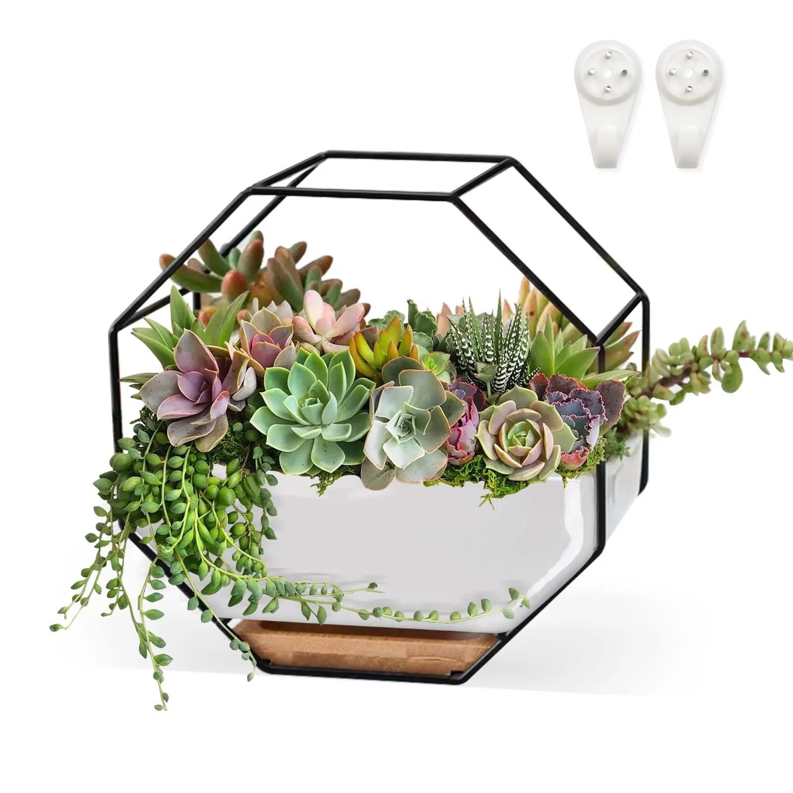 Succulent Planters Decorative Ceramic flower Pots with Metal Holder Hanging and Place Dual-Purpose Pot with Drainage and Saucer