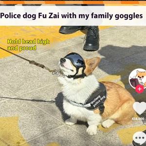 Vente en gros de lunettes de soleil en plastique pour chiens de taille moyenne à grande Fournitures d'hiver pour chiens - Product Image 2