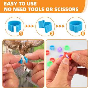 Anillas <span class=keywords><strong>de</strong></span> Identificación para Aves <span class=keywords><strong>de</strong></span> Corral, Multicolores y Numeradas, <span class=keywords><strong>de</strong></span> Plástico con Clip, para Pollos, Patos, Gansos y Pavos - Product Image 4