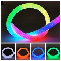 Kit de bande lumineuse LED néon RGBIC 5M à 360 degrés, effet de poursuite des couleurs, en nylon flexible et silicone, IP67, 5V, tressée