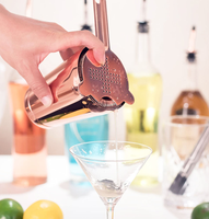 Ensemble de shaker à cocktails Boston en acier inoxydable Wuyi Camol, 16 pièces, capacité de 750 ml, kit d'outils de bar professionnels écologiques