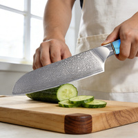 Couteau de chef en acier Damas VG10 à 67 couches, couteau de boucher pour la cuisine domestique, couteau à découper, couteau utilitaire, couteau à fruits avec manche en résine