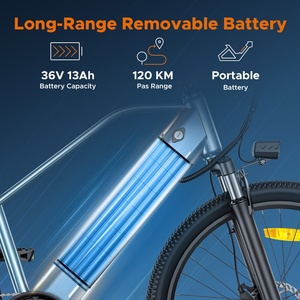 จักรยานเสือภูเขาไฟฟ้า 250w ยี่ห้อ HillMiles รุ่น MileTrail 1 จักรยานไฮบริดสำหรับปั่นบนทางวิบากและในเมือง จัดส่งตรงจากยุโรป - Product Image 3