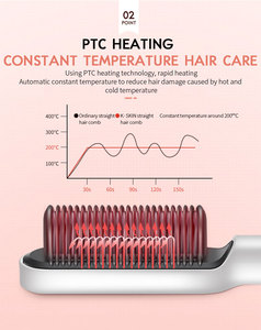 Cepillo Alisador de Cabello Eléctrico Profesional de Cerámica con Múltiples Temperaturas para Peinar - Product Image 2