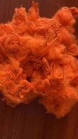 GRS certifié Hautement ténacité-Bishen polyester fibre usd pour la filature fils