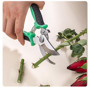 Forbici <span class=keywords><strong>da</strong></span> Potatura Manuali Multifunzione in Acciaio Inossidabile di Alta Qualità con Manico in Plastica Resistente per Rami Grossi e Alberi <span class=keywords><strong>da</strong></span> <span class=keywords><strong>Frutto</strong></span> OEM - Product Image 5