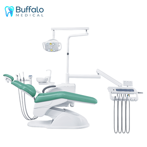 Buffalo Metal <strong>Dental</strong> Treatment <strong>Chair</strong> Electric LED Model H1 400W CE Certified Economic Designed For Small Clinics And Hospitals - Product Image 2