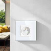 Touchmi 16A français Wifi prise de courant murale prise de verre et interrupteur voix/télécommande pour la maison/hôtel