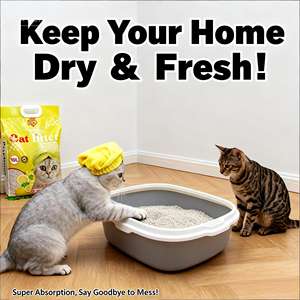 Litière pour chat en bentonite DongnaiPETS de haute qualité, écologique, jetable, absorbante, à agglomération rapide, 99% sans poussière, contrôle des odeurs, 8 kg - Product Image 1