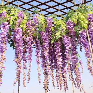 Decorazioni per matrimoni, ghirlande di fiori di glicine artificiali in seta, rampicanti di rattan, fiori per la sposa, ghirlanda per casa, giardino, <span class=keywords><strong>hotel</strong></span> - Product Image 2