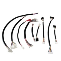 Produsen 2/3/4/5/6 pin 1.0 1.25 1.5 2.0mm Pitch JST ZH PH EH XH disesuaikan OEM ODM perakitan listrik Harness kabel kawat