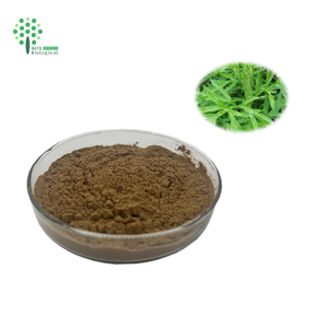 Натуральный растительный экстракт артемизии, порошок, 10:1 20:1 30:1, экстракт артемизии аннуа - Product Image 3