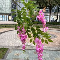 Guirlande longue de fleurs de glycine artificielles en tissu de soie, fabriquée à la main, respectueuse de l'environnement, pour décoration murale, Fête des Mères
