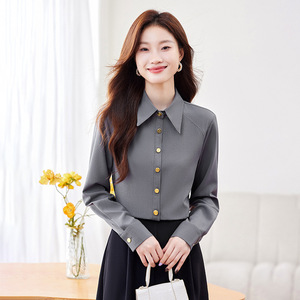 Women's Grey Chiffon Shirt Solid Color Long Sleeve Office Blouse Polyester Fabric Simple Design 2024 Korean Style - Product Image 1