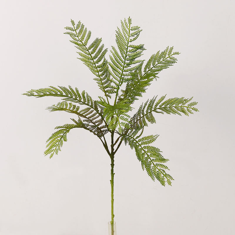 สีเขียว