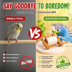 3D-Printed Plastic Parrot Grinding Toy Rotating Grinding <b>Wheel</b>-Push Start Water Resistant Eco-Friendly for <b>Small</b> Medium Parrots - Product Image 5