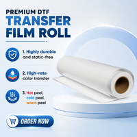 Film PET double face DTF à décollement à chaud, rouleaux de 60 cm et 30 cm, impression double face A1/A3, film de transfert thermique haute température pour vêtements