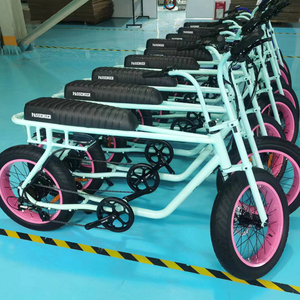 Batería para Bicicleta Eléctrica de 500 Vatios, Motor Trasero, Neumático Ancho 73, Bicicleta Eléctrica de Dos Plazas, Batería OEM de Fábrica para Bicicleta Eléctrica de Pasajeros, 36v 500 Vatios - Product Image 5