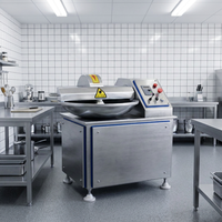 Machine à couper la viande industrielle et commerciale en acier inoxydable, 20L, vitesse variable, pour la transformation de saucisses, de boulettes de viande et de légumes