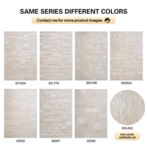 Dsermerラグジュアリー防水モダン抽象エリアラグカスタムサイズ床カーペットリビングルーム用大型Alfombras De Sala - Product Image 6