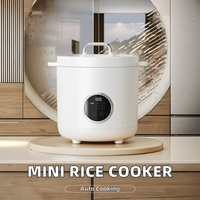 Portable 2L Ménage Électrique Cuiseur À Riz Mini Plastique Automatique avec Boîtier En Aluminium Fonctions Intelligentes pour Cuisine Voiture Hôtels