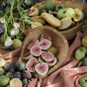 Haute Qualité Lyophilisé Tranches De Figues Sain Et Délicieux <span class=keywords><strong>Fruit</strong></span> Snack Usine Directe Pas Cher En Gros Fabriqué en Chine - Product Image 1