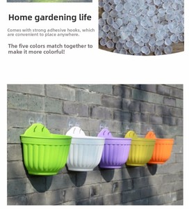 P456 Vaso <span class=keywords><strong>da</strong></span> Fiori Minimalista Semicircolare in Resina <span class=keywords><strong>da</strong></span> Parete per <span class=keywords><strong>Piante</strong></span> Grasse, Colorato, con Gancio per Appendere - Product Image 5