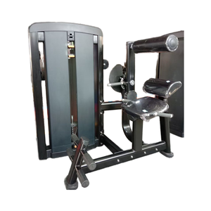 Cơ bụng căng phòng tập thể dục tập thể dục thiết bị thấp hơn trở lại mở rộng máy băng ghế dự bị & Rack loạt - Product Image 6