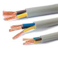 1000V Đồng Linh Hoạt Màn Hình Điện Marine Cáp Bọc Thép 2.5 Mét 3 Lõi 6 Mét Cáp Chìm