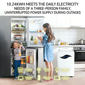 Système solaire hybride 10KW à succès avec onduleur, panneaux solaires 5KW et stockage par batterie - Product Image 6