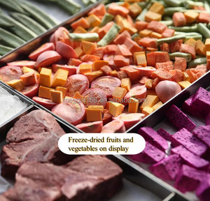 Lyophilisateur alimentaire de haute qualité, durable, à vide, avec système de refroidissement puissant pour une production continue - Product Image 6