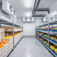 Sistema de Congelación Rápida con Compresor de Tornillo de Alta Calidad para Cámaras Frigoríficas Industriales de Ahorro Energético para Plantas de Alimentos Congelados