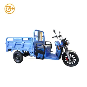 تريسيكل نقل كهربائي صيني ثلاثي العجلات 60 فولت دراجة كهربائية كبيرة من Dreirad للكبار